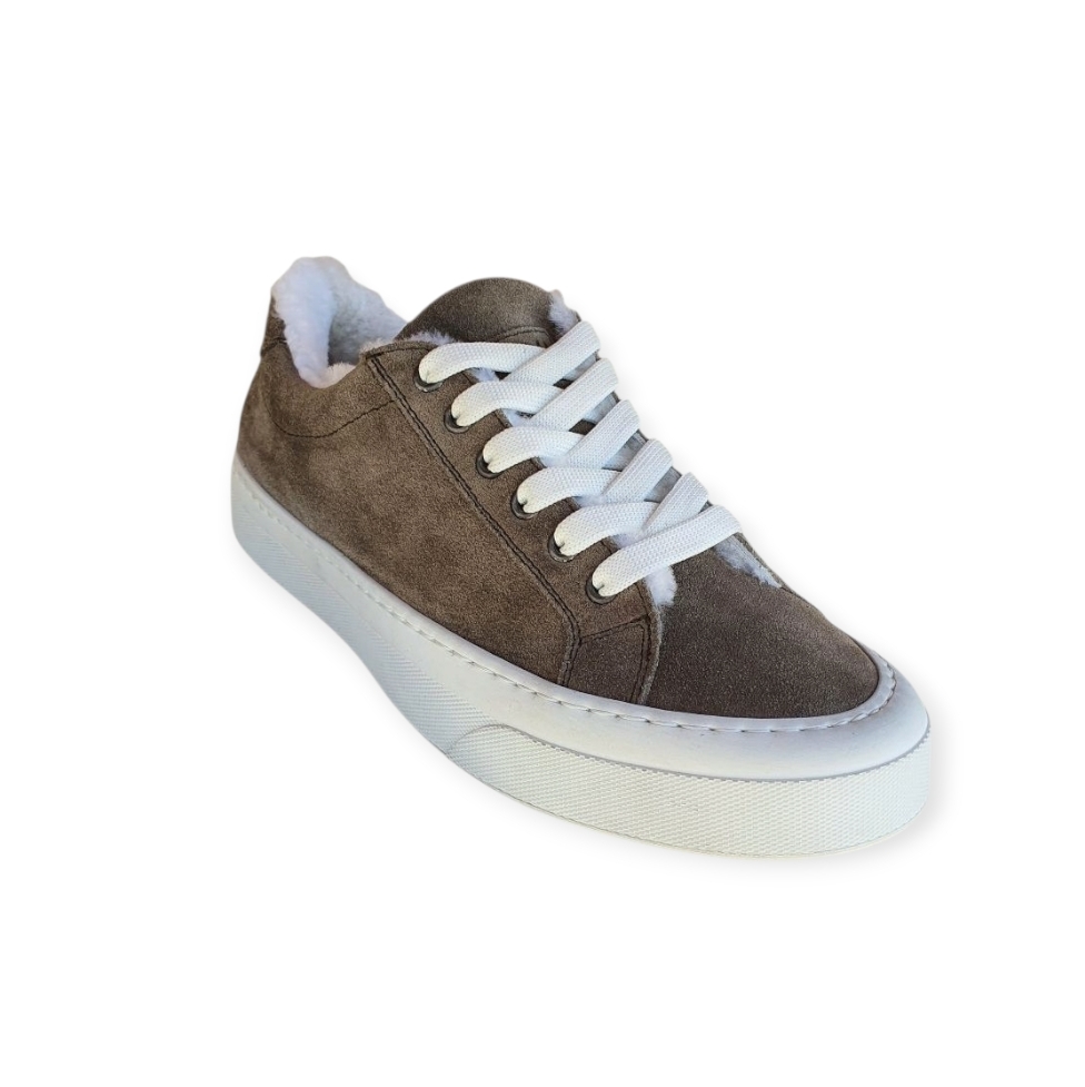 2564 Crosta kaleido col.322